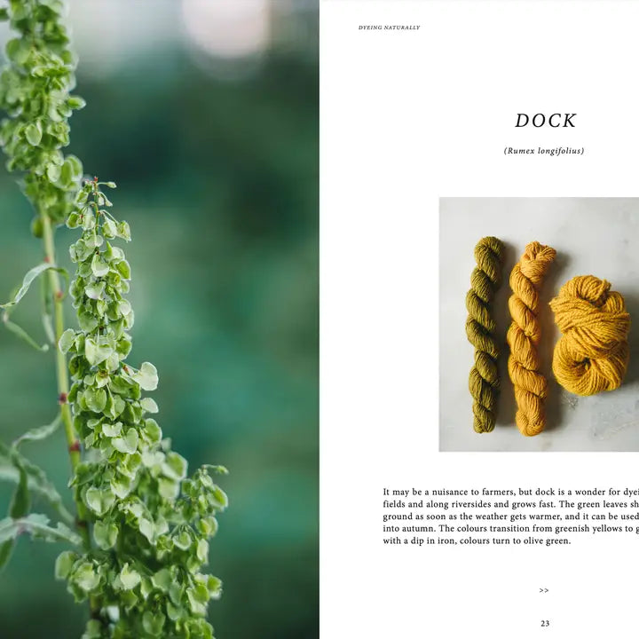 Cozy Publishing Knyga "Crafts & Knitting: Dyeing Naturally"