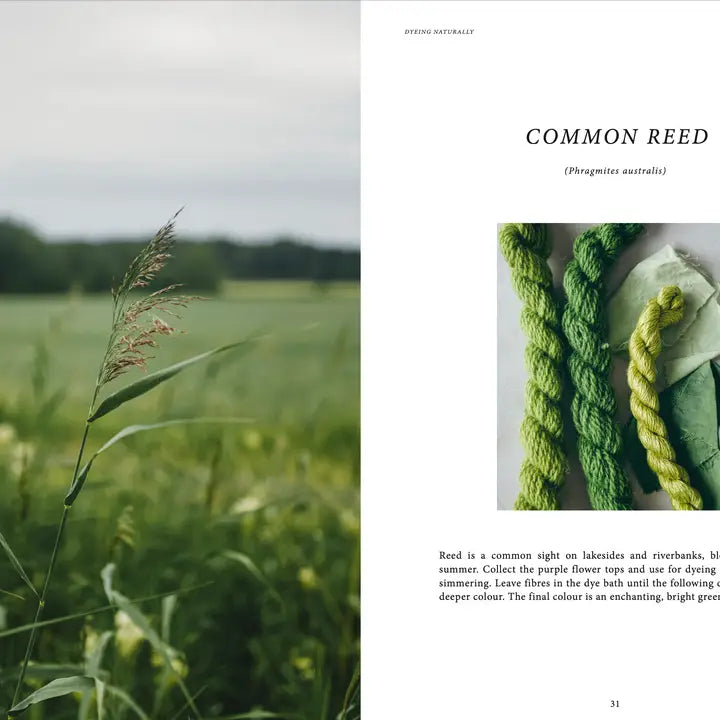 Cozy Publishing Knyga "Crafts & Knitting: Dyeing Naturally"