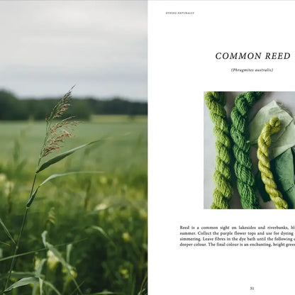 Cozy Publishing Knyga "Crafts & Knitting: Dyeing Naturally"
