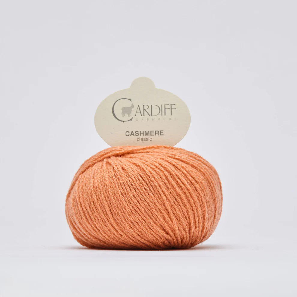 Cardiff Classic knitting yarn 25g (cashmere)