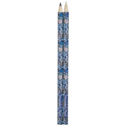 Hobby Gift Create kreidos pieštukai 2vnt.