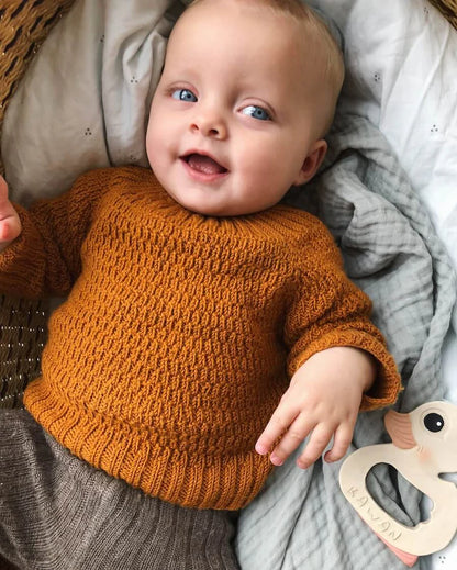 PetiteKnit Alfred's Sweater - Schema