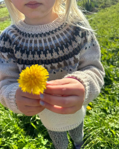 PetiteKnit Celeste Sweater Junior - Schema
